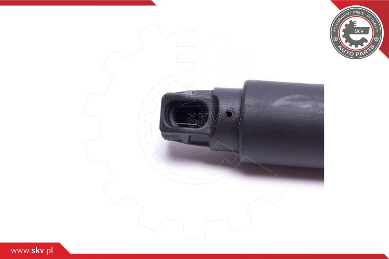 Electric Motor, tailgate