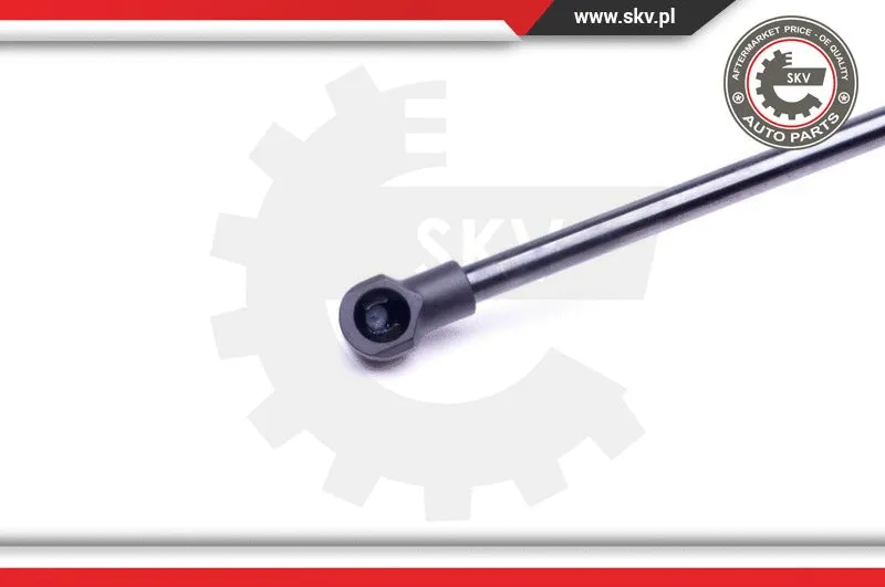 Gas Spring, boot/cargo area