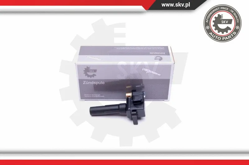 Ignition Coil (03SKV339)