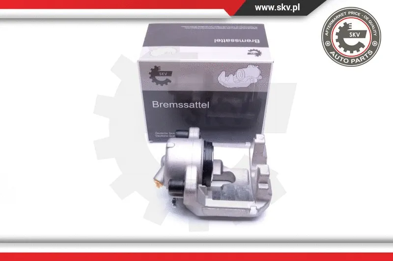 Brake Caliper (23SKV866)