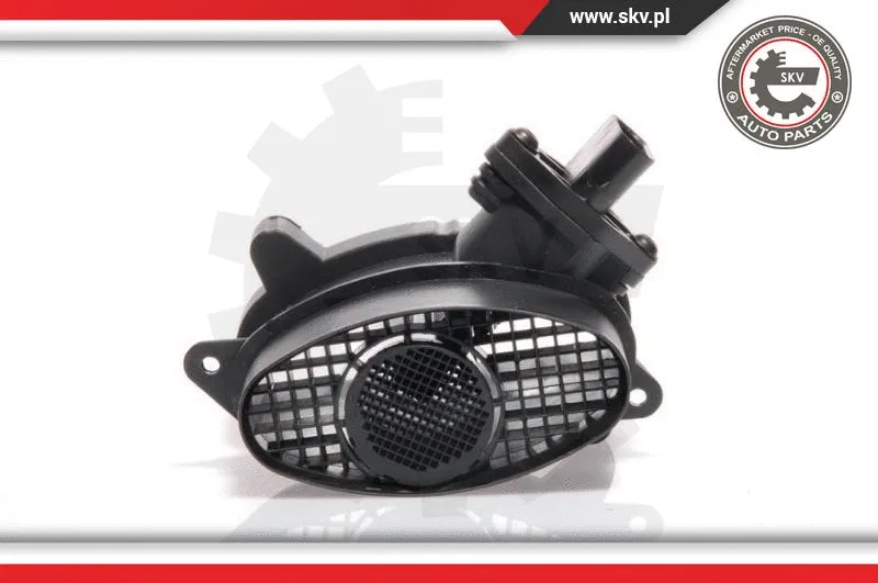 Mass Air Flow Sensor