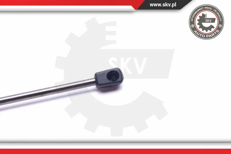 Gas Spring, boot/cargo area