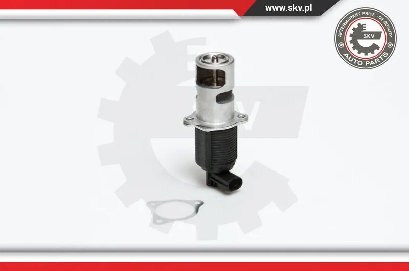 EGR Valve (14SKV032)