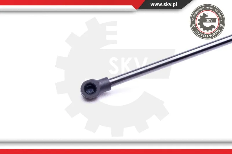 Gas Spring, boot/cargo area