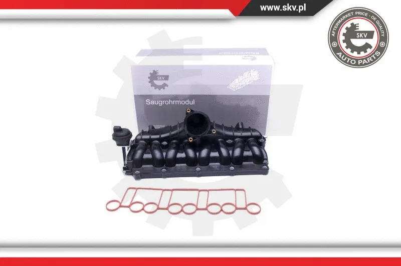 Intake Manifold Module (49SKV036)