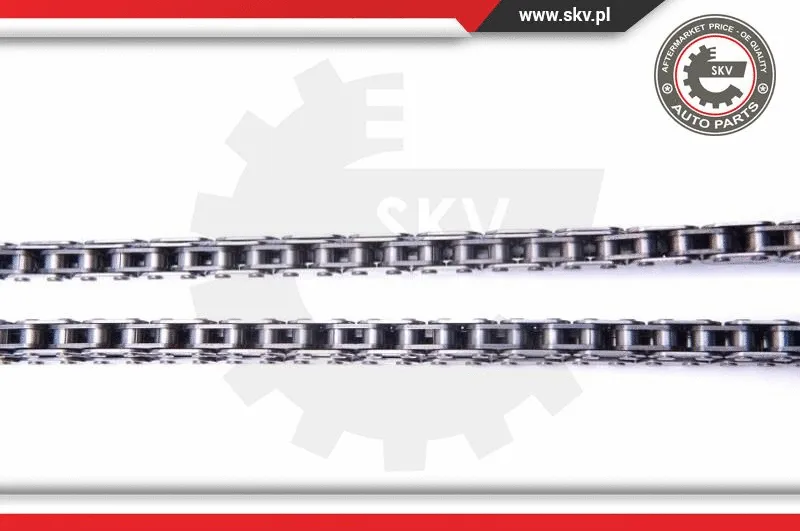 Timing Chain Kit