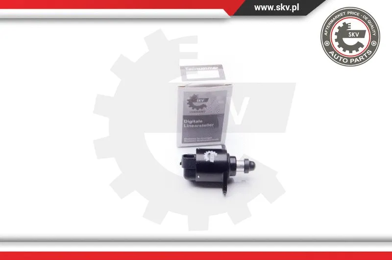 Idle Control Valve, air supply (08SKV024)