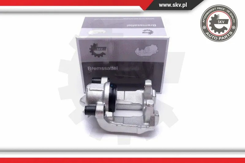 Brake Caliper (55SKV991)