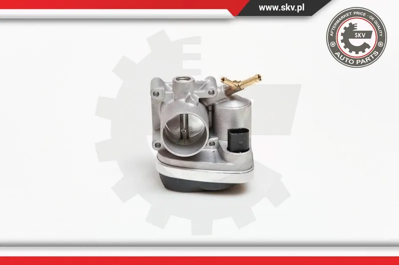 Throttle Body (12SKV028)