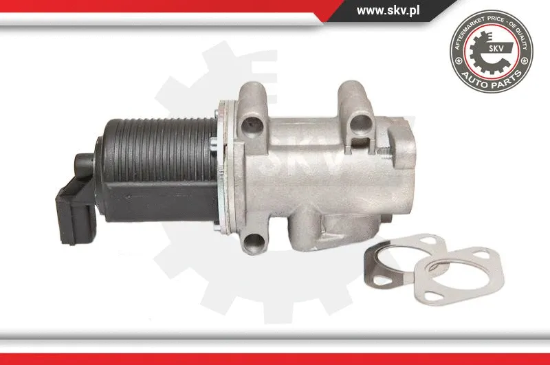 EGR Valve