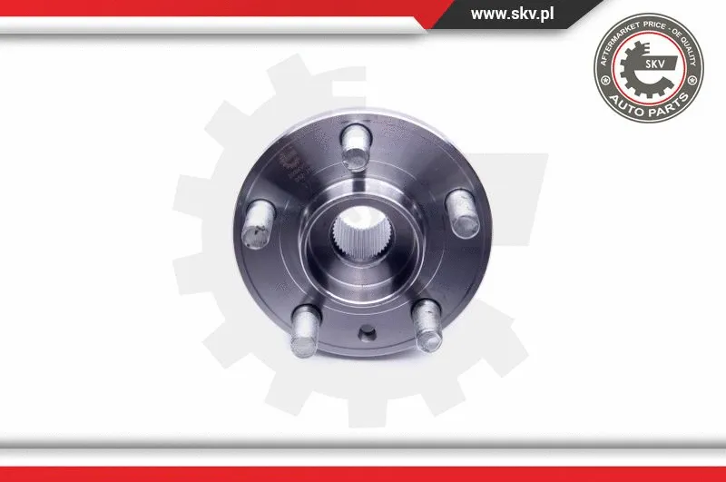 Wheel Bearing Kit