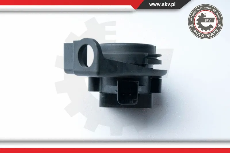 Sensor, accelerator pedal position