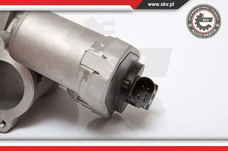 EGR Valve