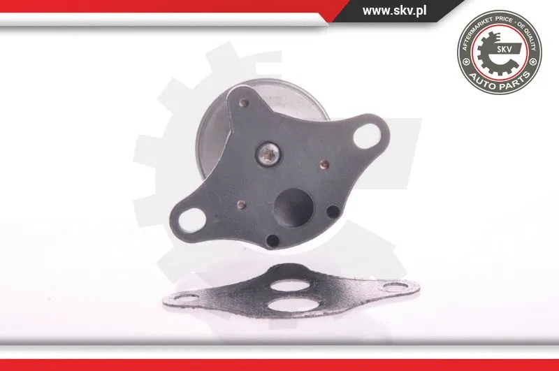 EGR Valve