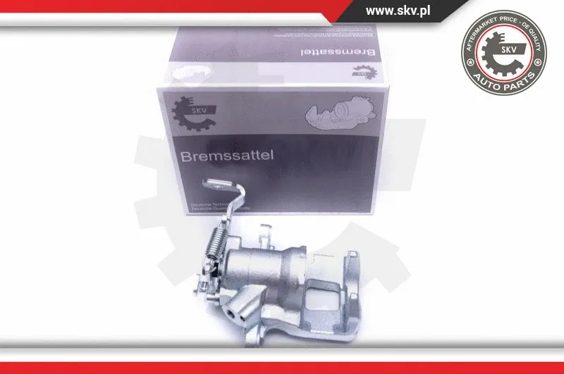 Brake Caliper (44SKV533)