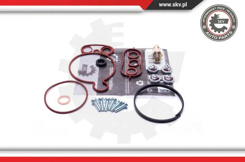 Repair Set, vacuum pump (braking system) (18SKV805)