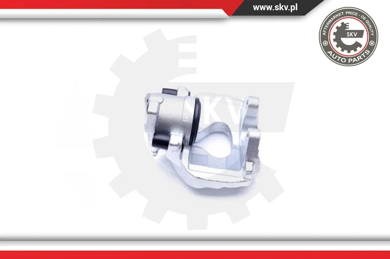 Brake Caliper (45SKV311)