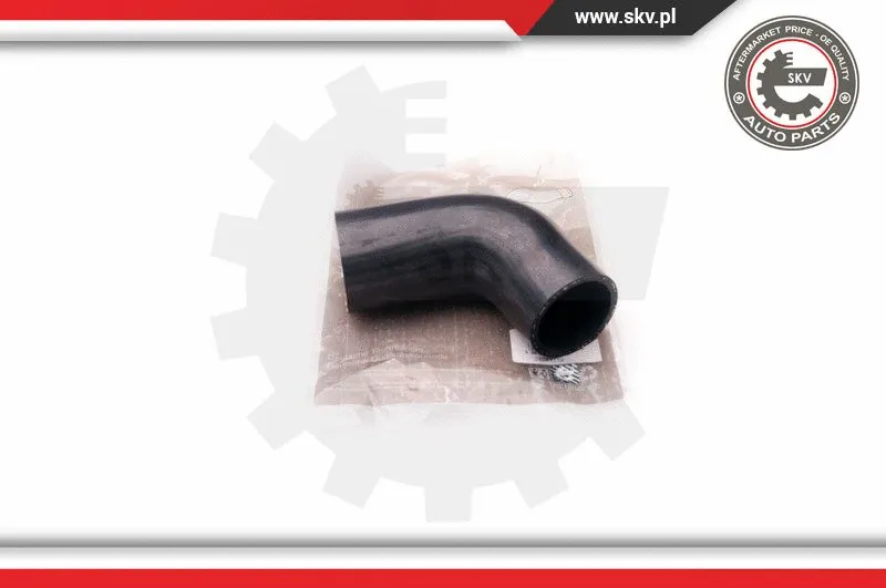 Charge Air Hose (24SKV138)