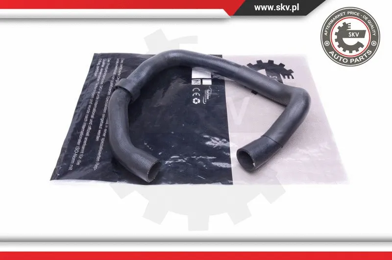 Radiator Hose (43SKV848)