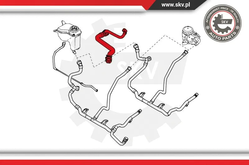 Radiator Hose