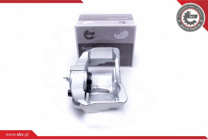 Brake Caliper (55SKV771)