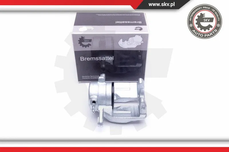 Brake Caliper (44SKV142)
