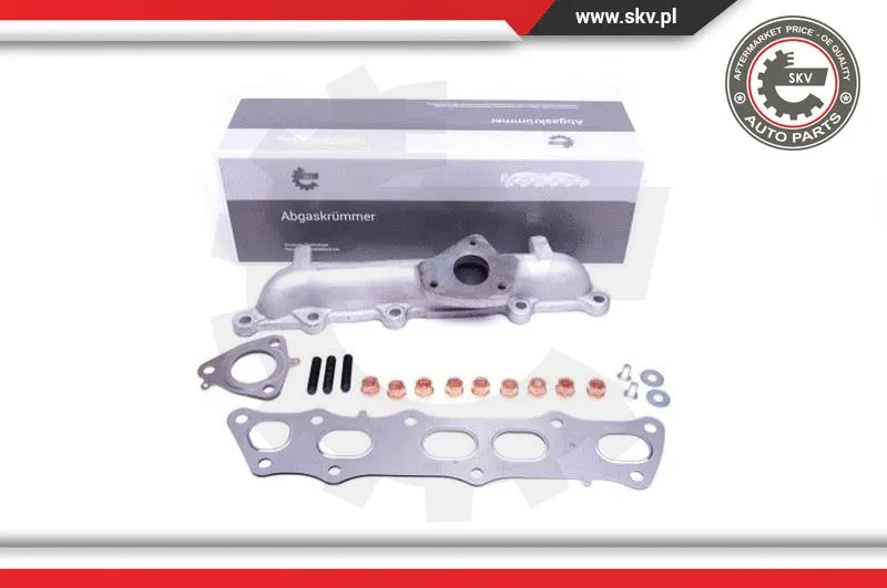 Manifold, exhaust system (49SKV054)