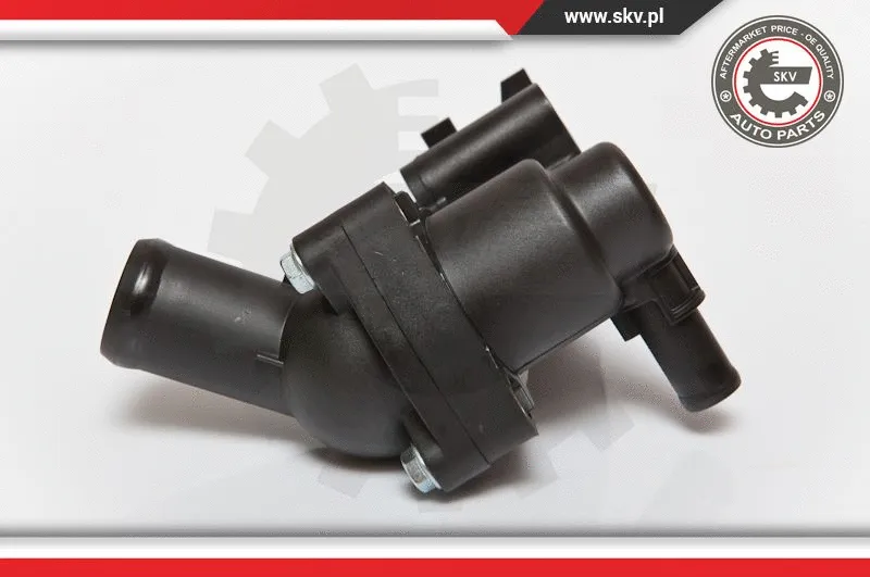 Thermostat, coolant