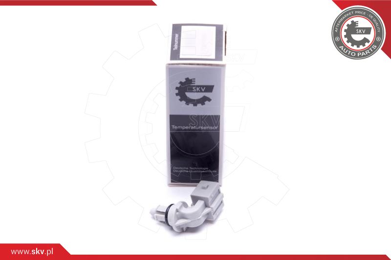 Sensor, intake air temperature (17SKV693)