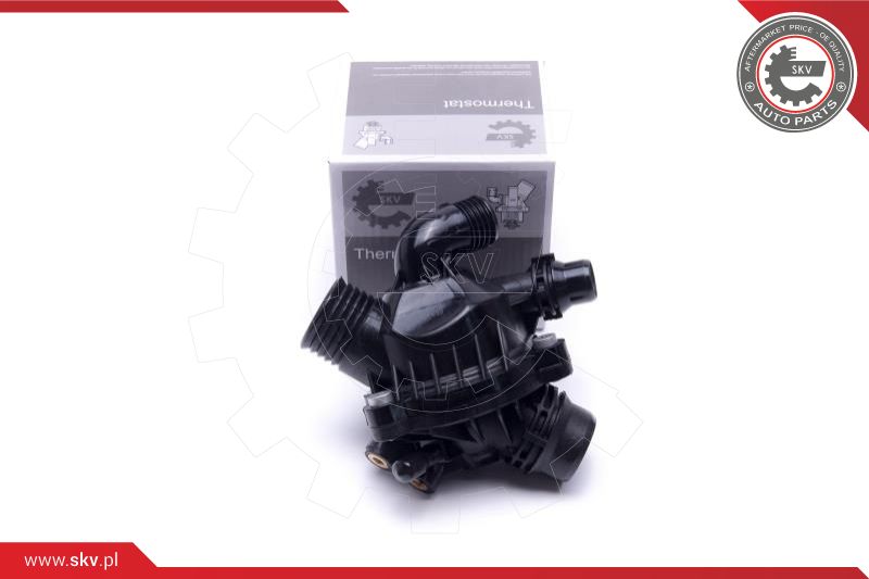 Thermostat, coolant (20SKV164)