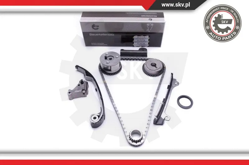 Timing Chain Kit (21SKV194)