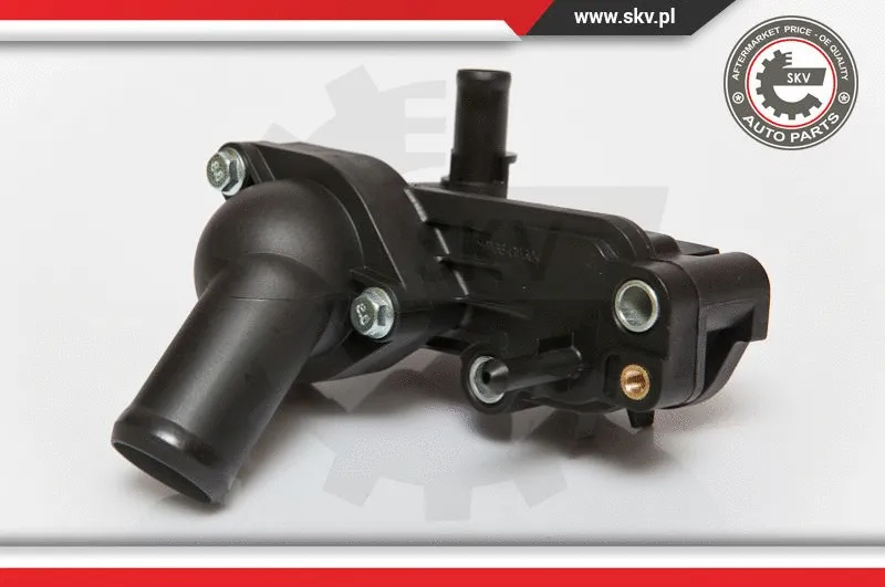 Thermostat, coolant