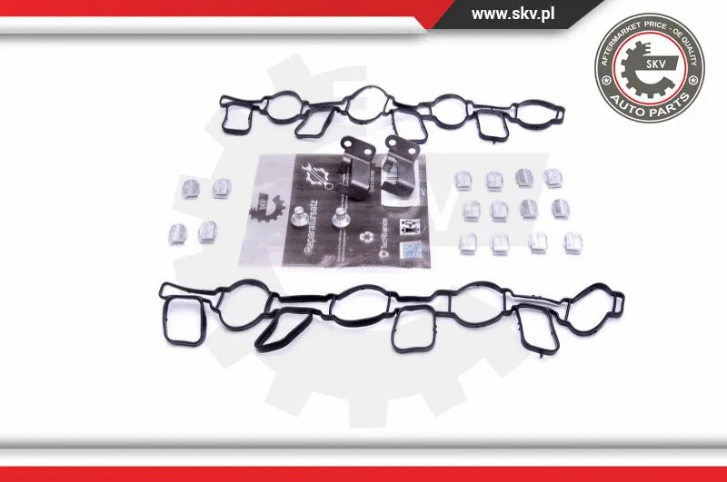 Repair Kit, intake manifold module (49SKV519)