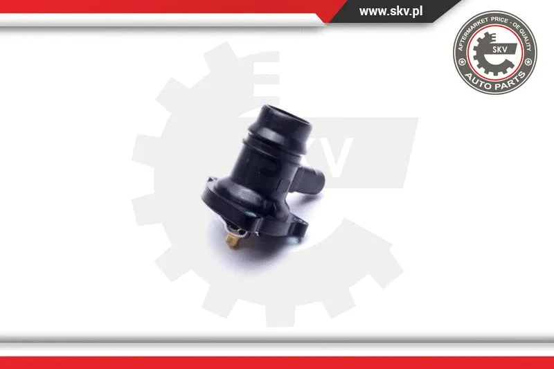 Thermostat, coolant