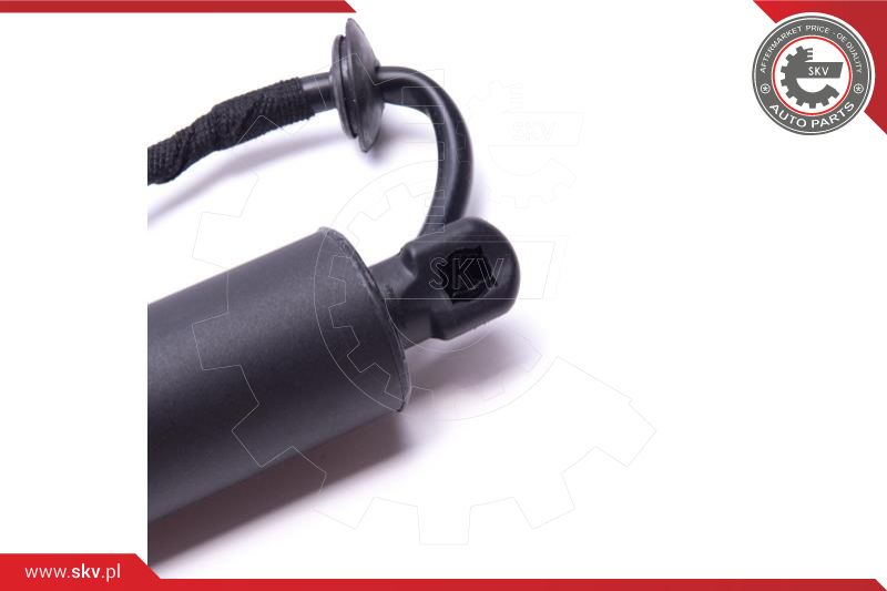 Electric Motor, tailgate