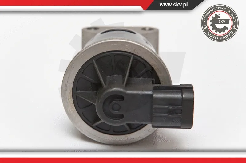 EGR Valve (14SKV053)