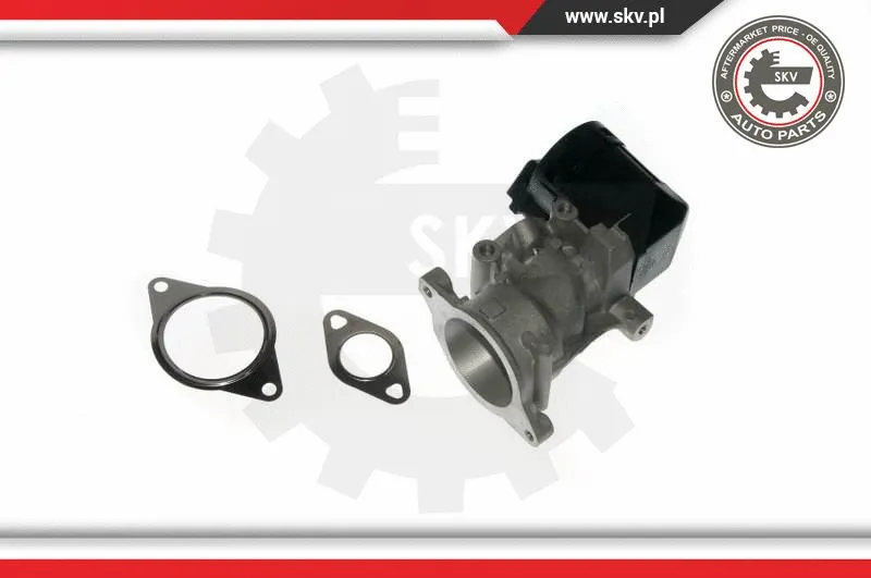 EGR Valve (14SKV057)