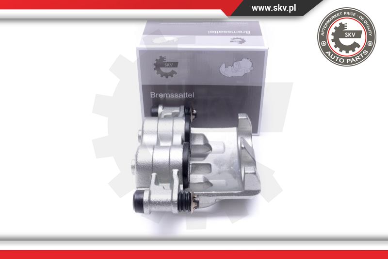 Brake Caliper (45SKV224)