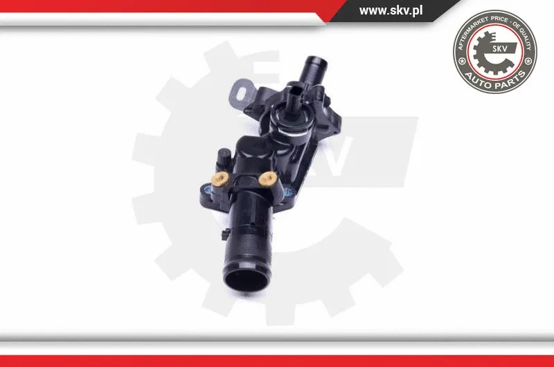 Thermostat, coolant