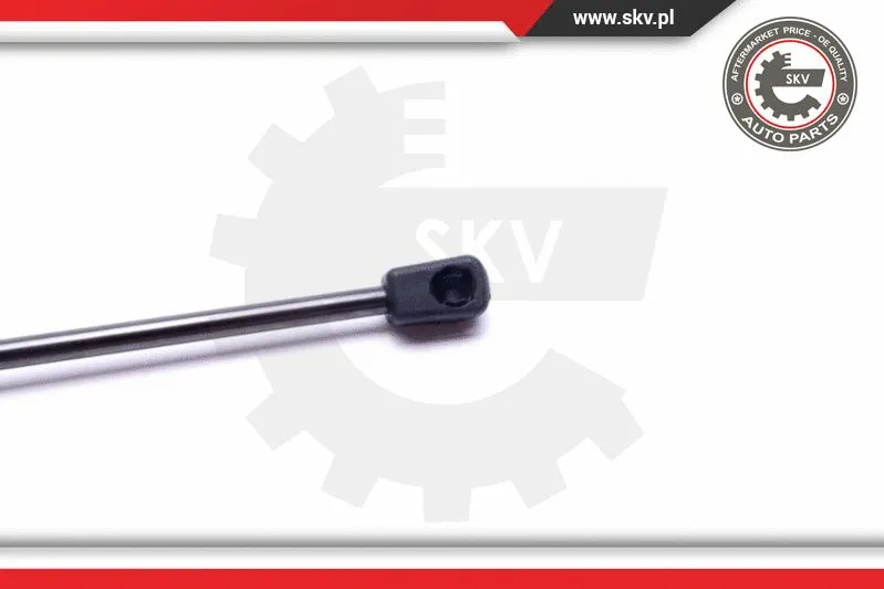 Gas Spring, boot/cargo area