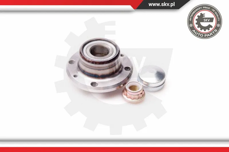 Wheel Bearing Kit