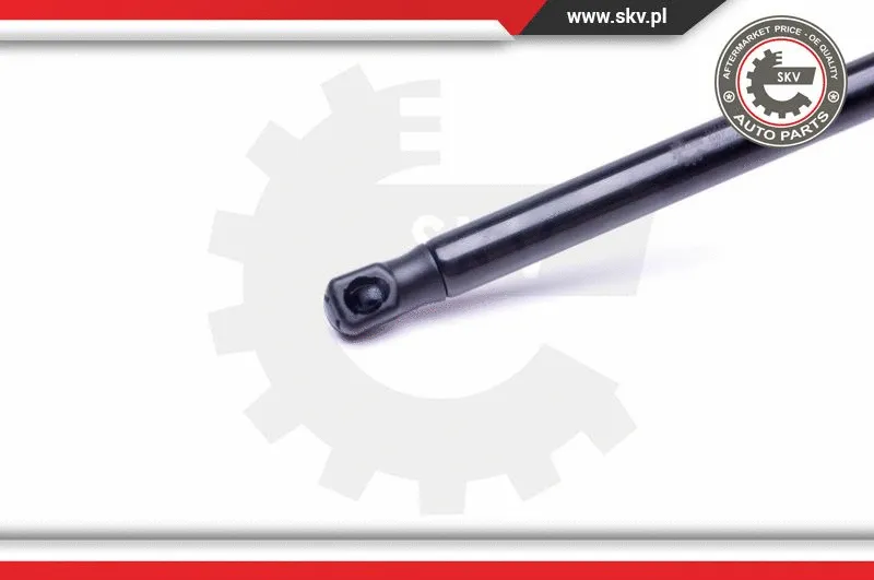 Gas Spring, boot/cargo area