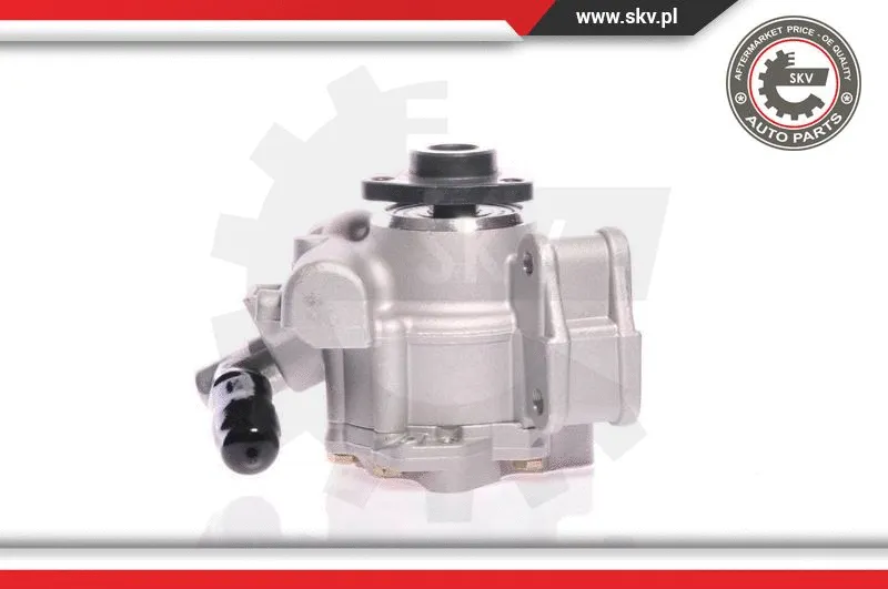 Hydraulic Pump, steering (10SKV148)