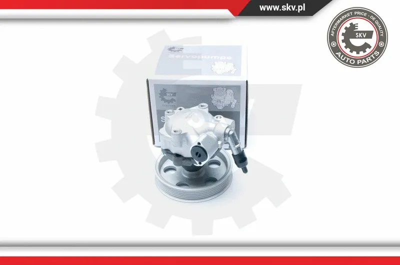 Hydraulic Pump, steering (10SKV185)