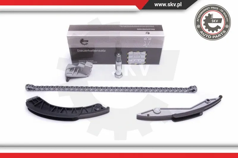 Timing Chain Kit (21SKV134)