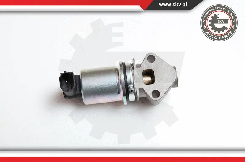 EGR Valve