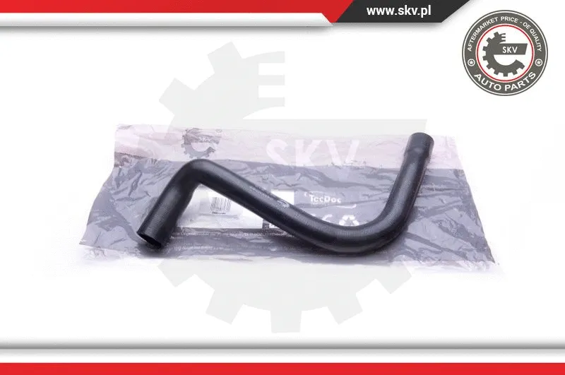 Radiator Hose (24SKV389)