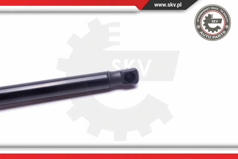 Gas Spring, boot/cargo area