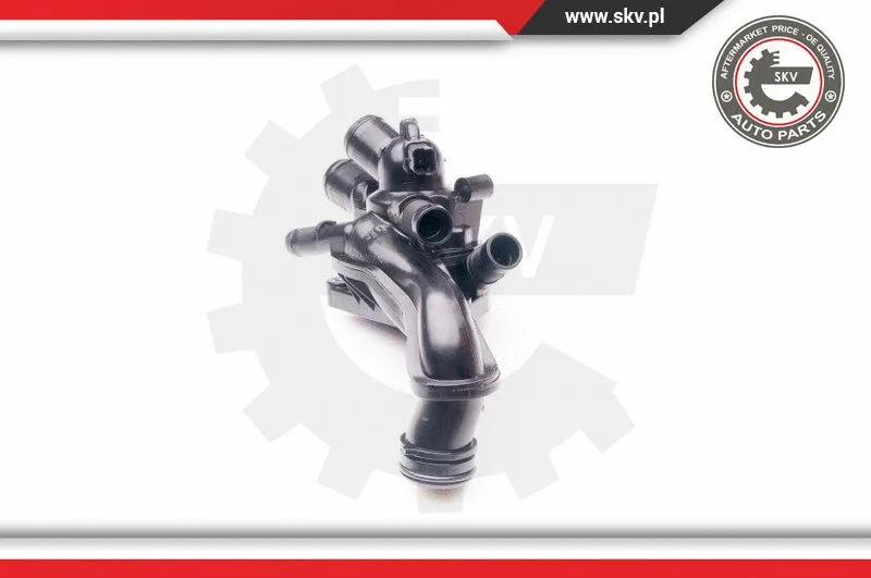 Thermostat, coolant