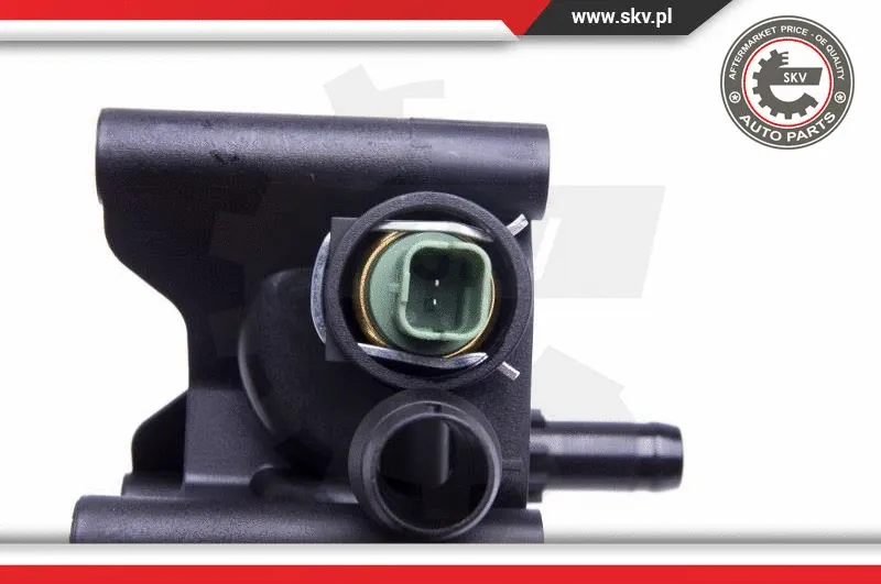 Thermostat, coolant